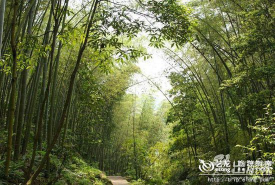 夏天去哪里旅游凉快？国内20℃的地方